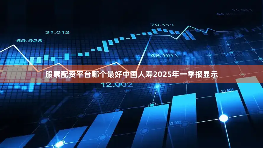 股票配资平台哪个最好中国人寿2025年一季报显示
