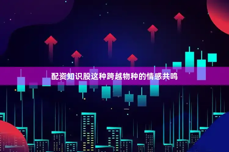 配资知识股这种跨越物种的情感共鸣